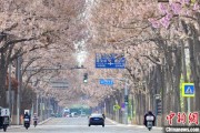 遵义共建“花园城市” 北京这场议政会“百花齐放”