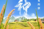 遵义芒种节气小知识来了 夏种作物都有什么？